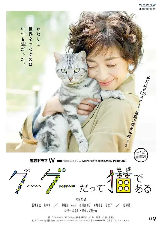 《咕咕是一只猫》：萌猫治愈人心，细腻刻画都市生活的温暖