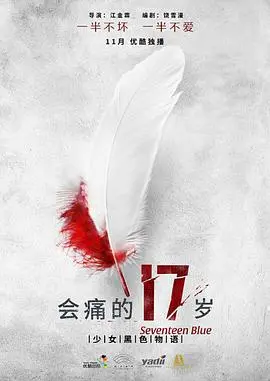 《会痛的17岁》：少女的叛逆青春，疼痛中寻找自我，谁的青春不迷茫？