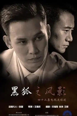《黑狐之风影》：谍战风云再起，谁是隐藏的黑狐？剧情解析与人物深度剖析