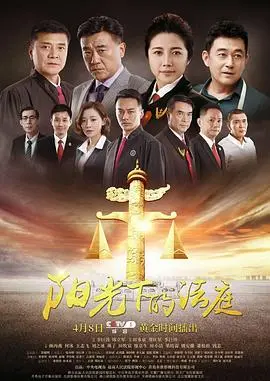 《阳光下的法庭》：正义与情感的博弈，当法律遭遇道德困境！