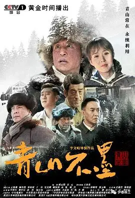 《青山不墨》：中国水墨画卷中的史诗级爱情，家国情仇交织，展现女性坚韧与抉择的绝美画卷！