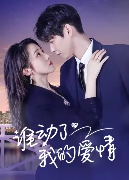 谁动了我的爱情 海报