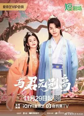 与君无别离 海报