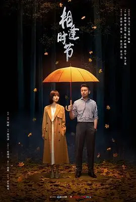 相逢时节 海报