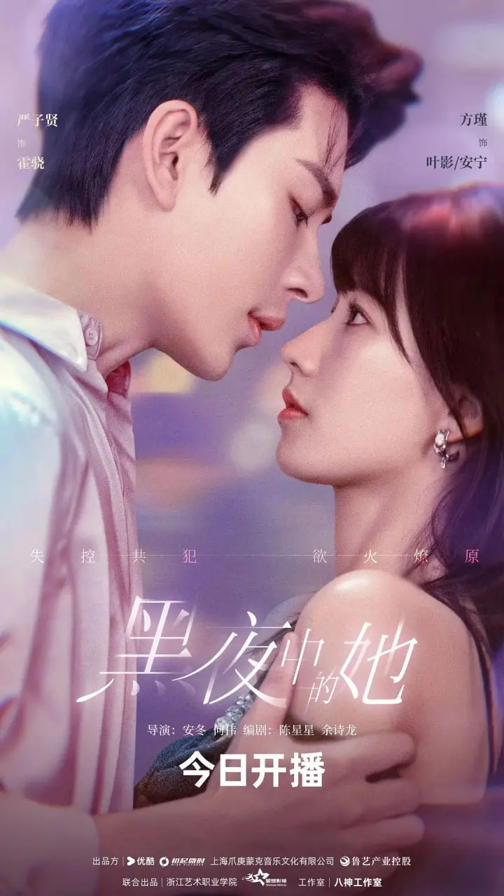 黑夜中的她 海报